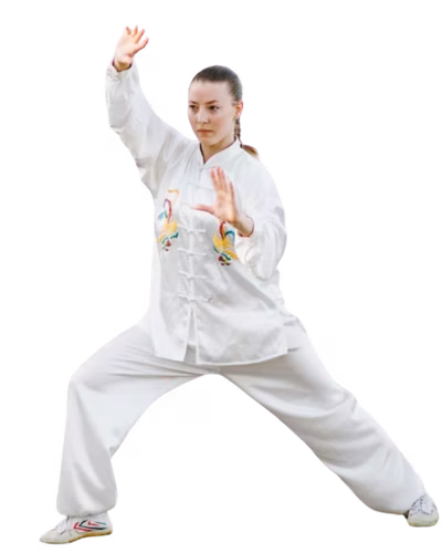 Reverse Health Tai Chi