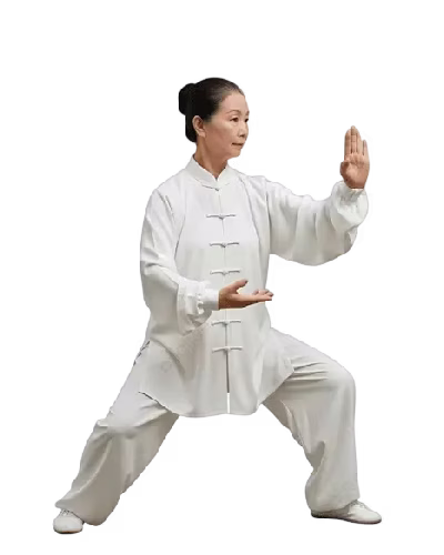 Tai Chi for Beginners Seniors