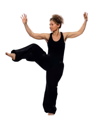 Yang Tai Chi for Beginners